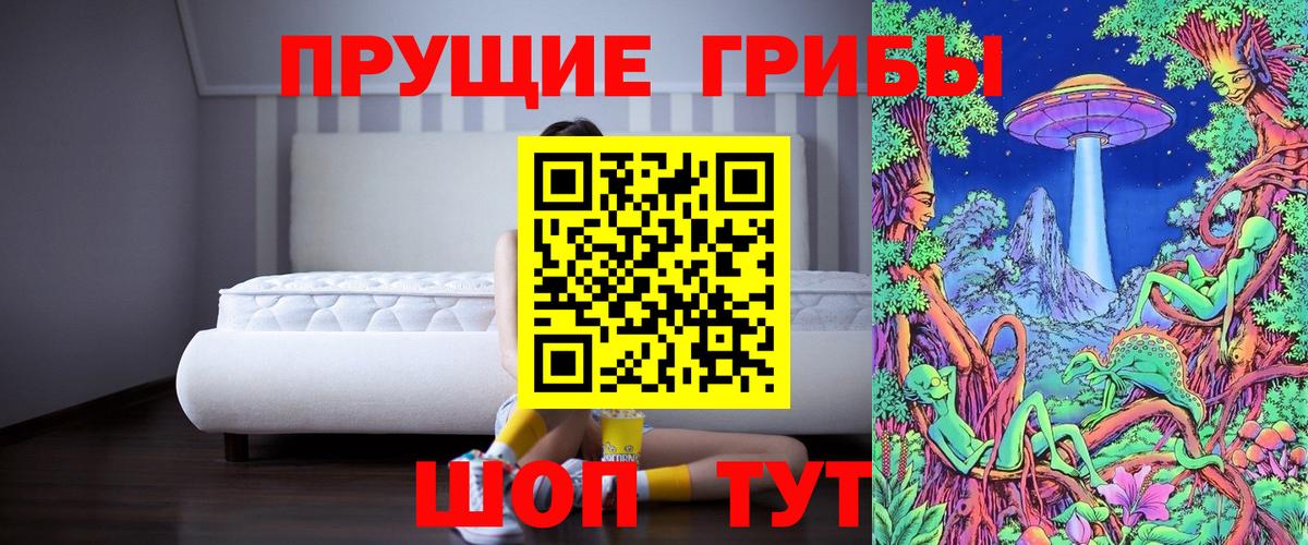 купить закладку  Галлюциногенные грибы прущие грибы  Вход с VPN  Ртищево 